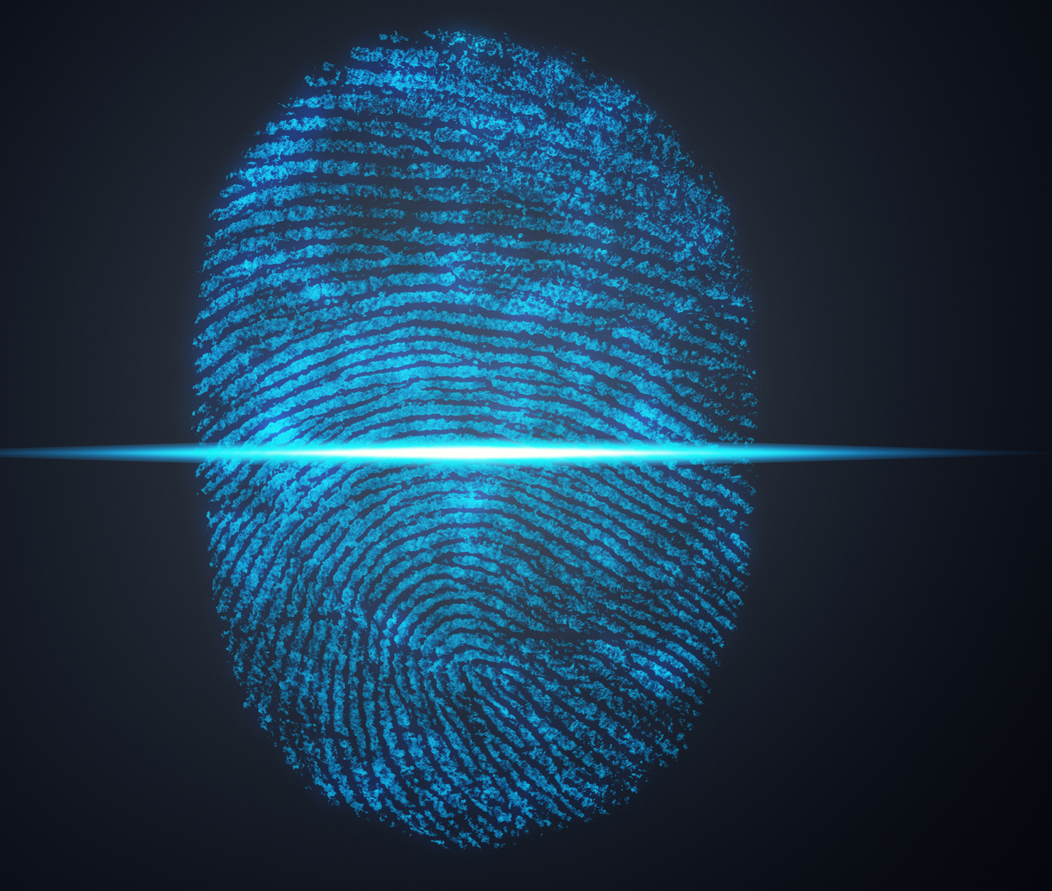 IT Biometrics